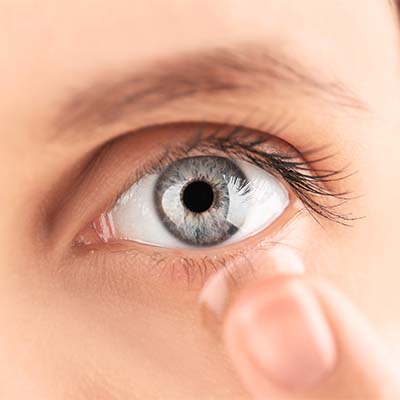 Lentilles et Accessoires Saint-Cloud
